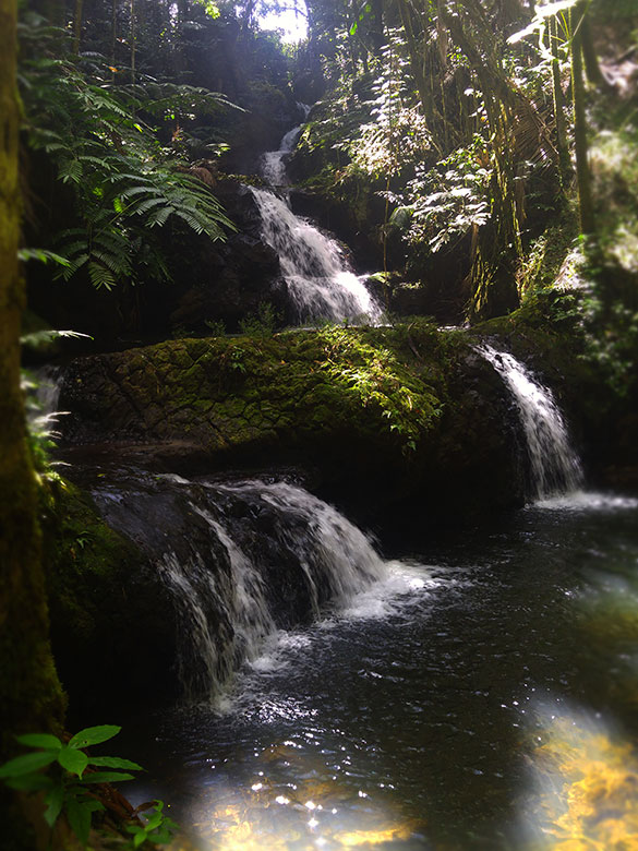 Hawaii Botanical Gardens Waterfall