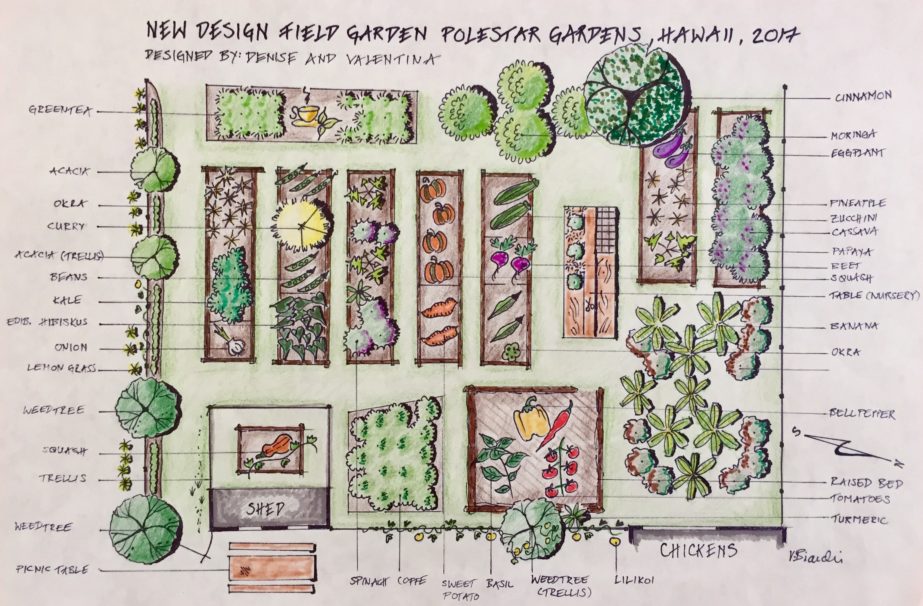 Permaculture And Agroforestry In Hawaii At Polestar Gardens